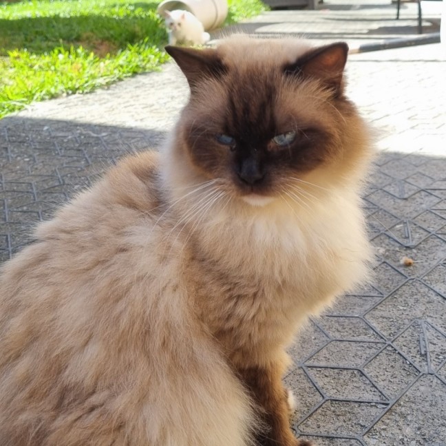 Photo of Agatha