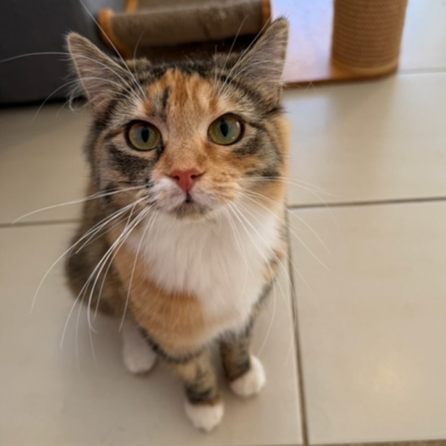 Photo of Millie