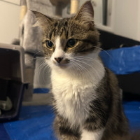 Photo of Mira 🌷🌺