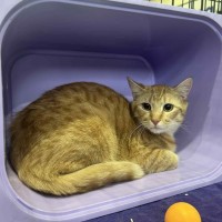 Photo of Jimbo & Samson 