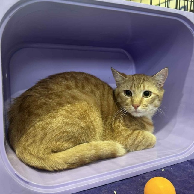 Photo of Jimbo & Samson 