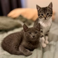 Photo of Gandalf And Florence