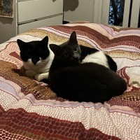 Photo of Aero + Kit Kat 