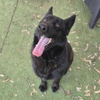 Photo of Ember