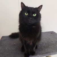 Photo of Eclipse 🖤