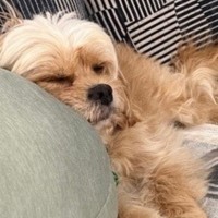 Photo of Ella & Oscar 