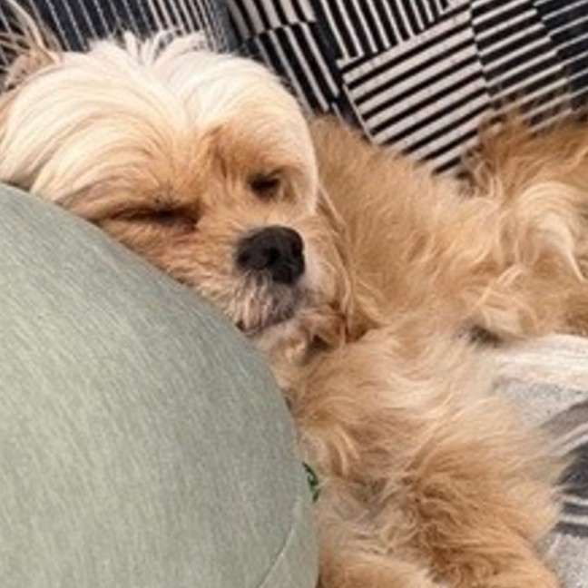 Photo of Ella & Oscar 