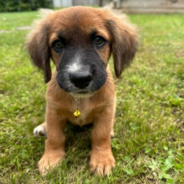 Photo of Rocket