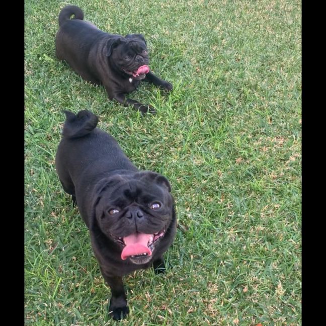 Photo of Lexi & Jay Jay