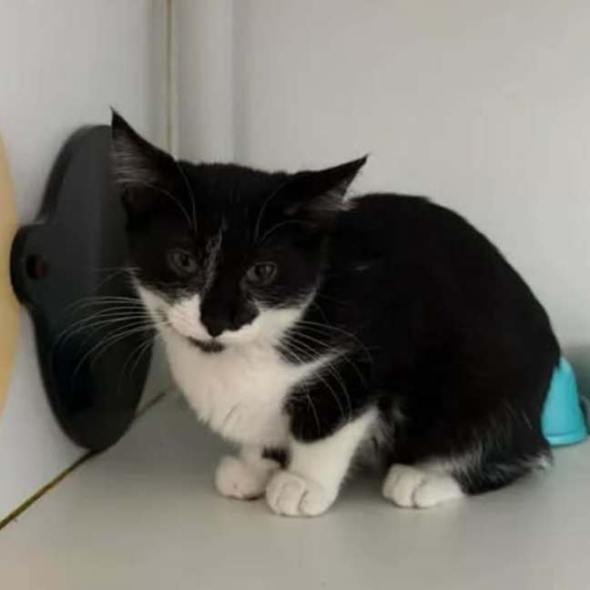 Photo of Winifred