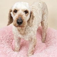 Photo of Tammy