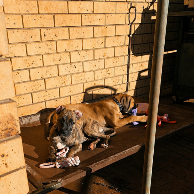 Photo of Tallulah