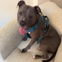 Photo of Slim