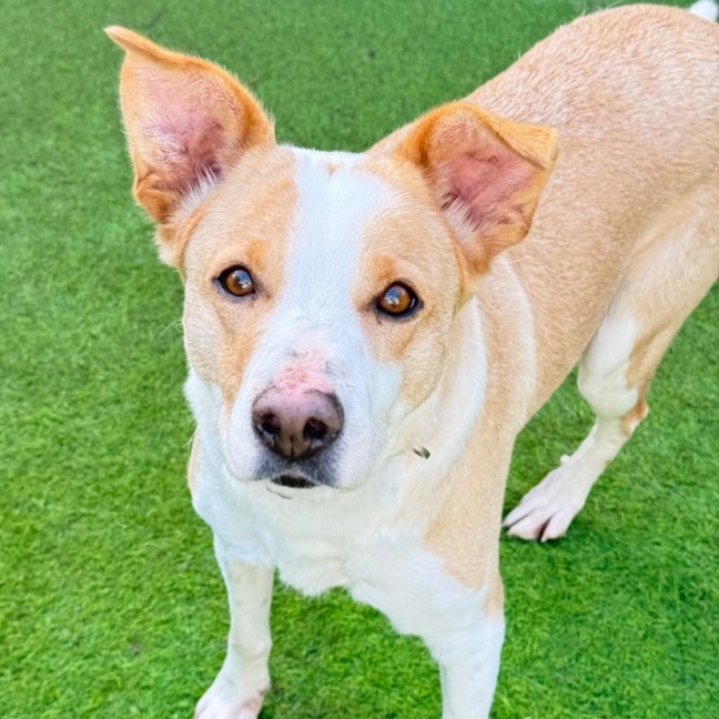 Photo of Maisy