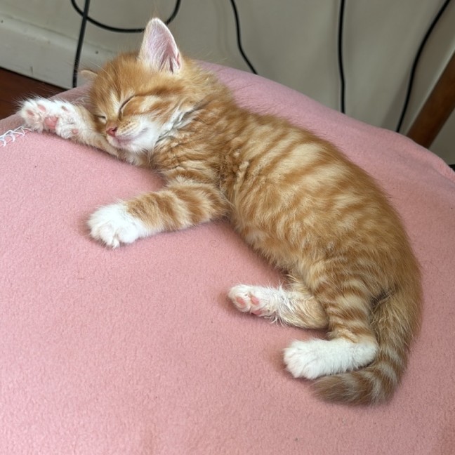 Photo of Bobby