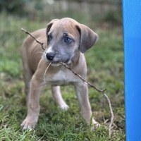 Photo of ⛰️ Coromandel's Litter (Part 1) ⛰️