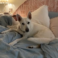 Photo of Athena
