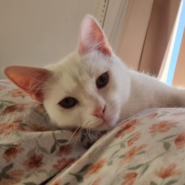 Photo of Finnick