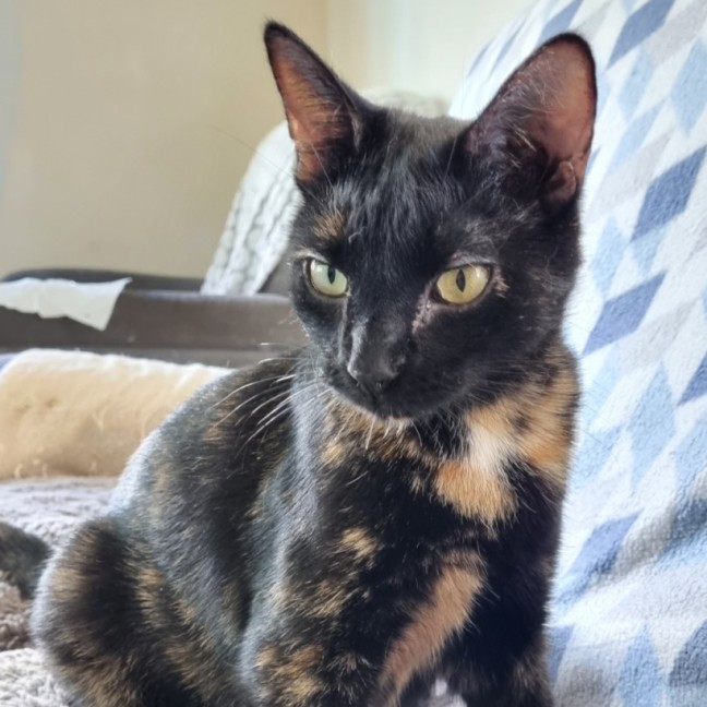 Photo of Mae
