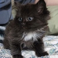 Photo of Frodo