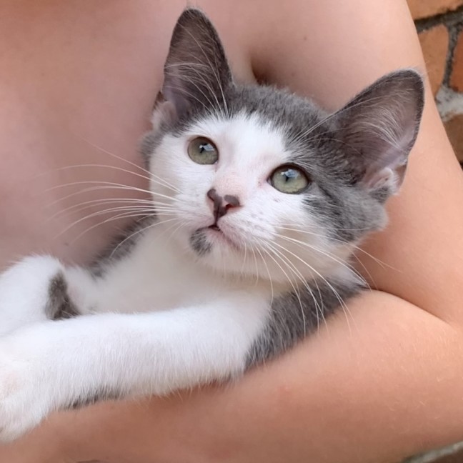 Photo of Chad 🐻‍❄️💙🐻‍❄️