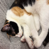 Photo of Betty 