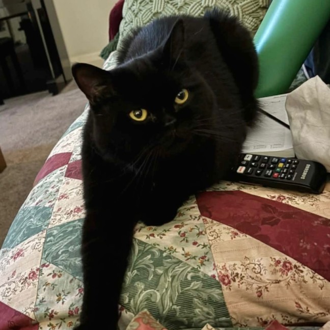 Photo of Smoo