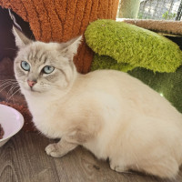 Photo of Snowy