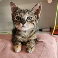 Photo of Monica