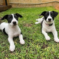 Photo of Venus & Mercury