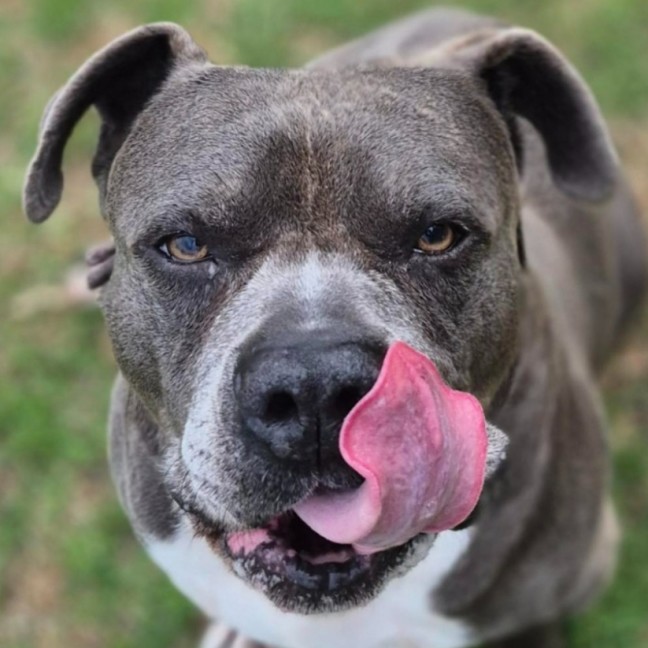 Photo of 🦁 Winston 6897 🦁