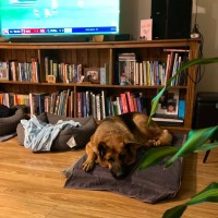 Photo of Roxy