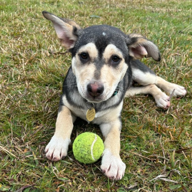 Photo of Kadek