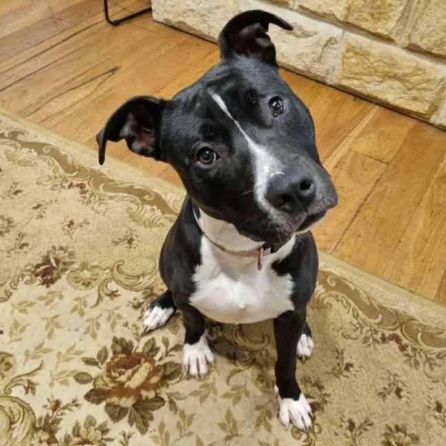 Photo of Flint
