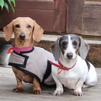 Photo of Destiny & Ivy
