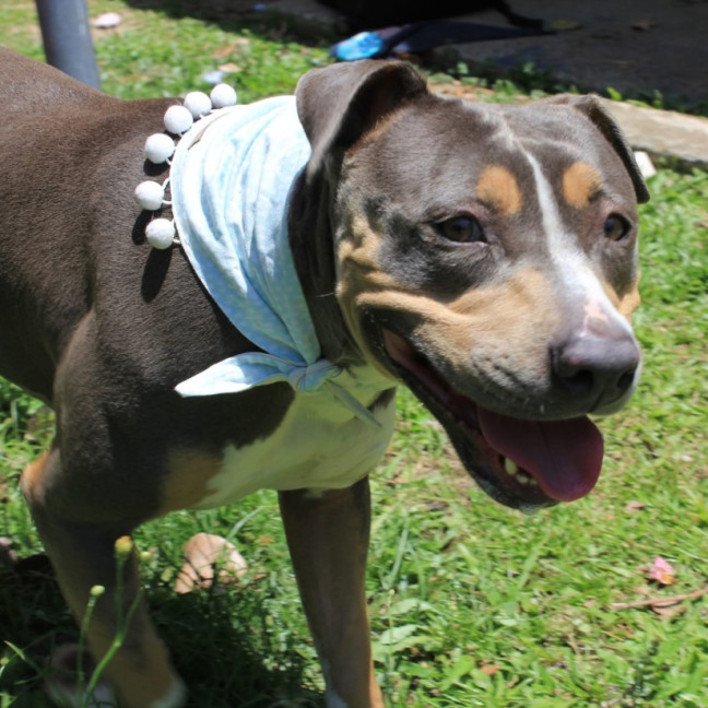 Photo of Mj (Martha Jane)