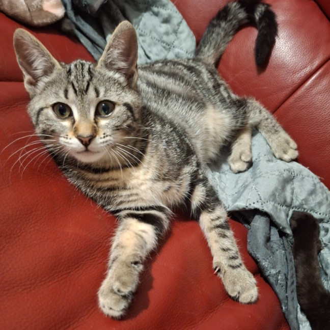 Photo of Esme