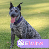 Photo of Elaine