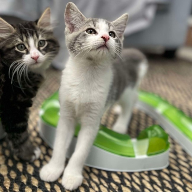 Photo of 💛 Maeve 💛