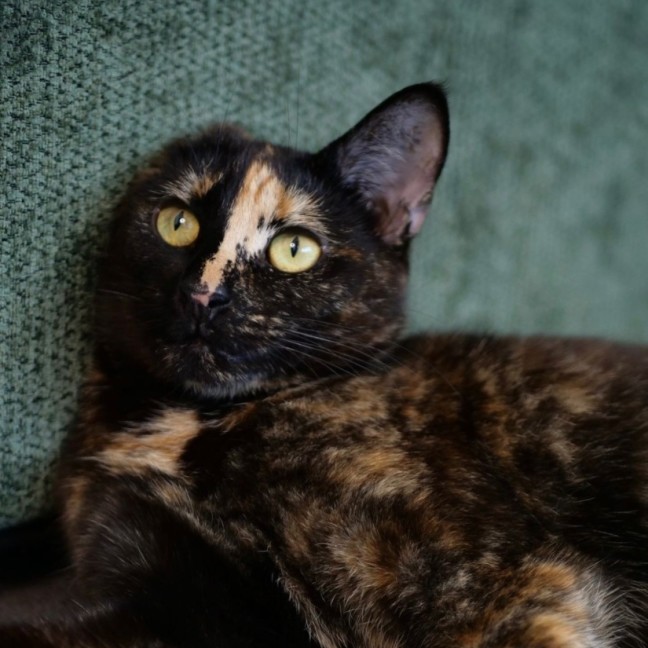 Photo of Storm