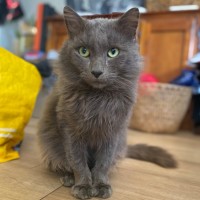 Photo of Morris 💙