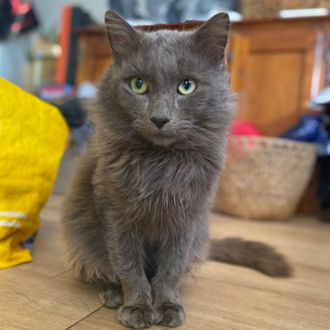 Photo of Morris 💙