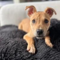 Photo of Claudius 