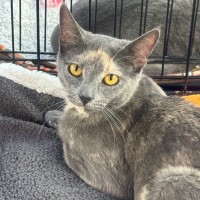 Photo of Blossom 🌸💐🌺