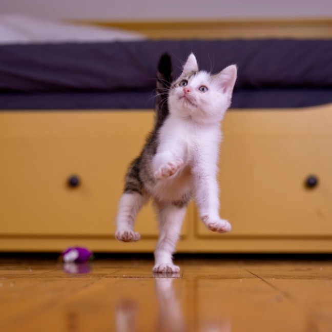 Photo of Principal Skinner