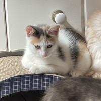 Photo of Margie 🌸🌸🌸