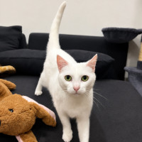 Photo of Duchess
