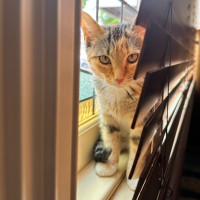 Photo of Wendy