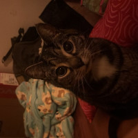 Photo of Tasha