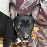 Photo of Slider